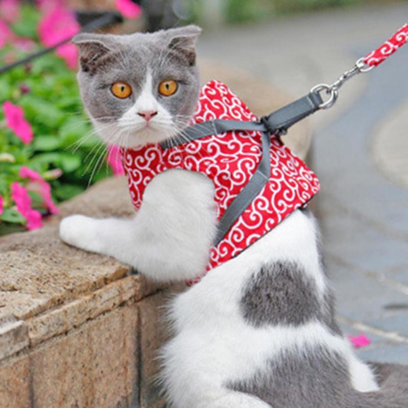 EasyWalk™ | Harnais pour Chat - {{ CHAT & CIE }}