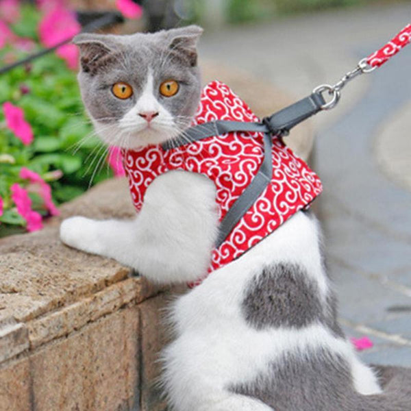 EasyWalk™ | Harnais pour Chat - {{ CHAT & CIE }}