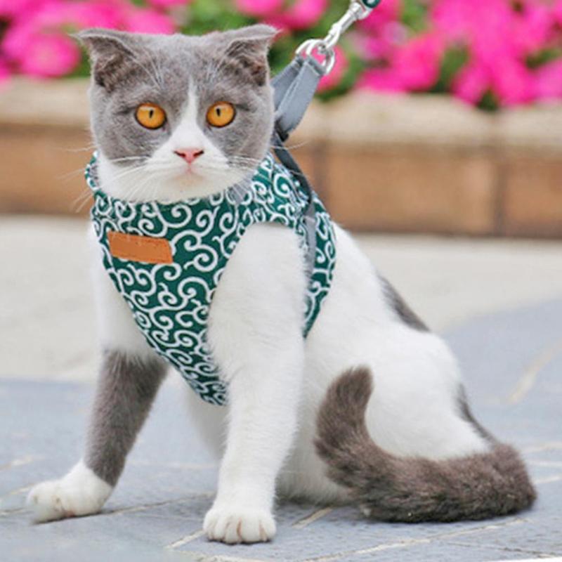 EasyWalk™ | Harnais pour Chat - {{ CHAT & CIE }}