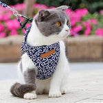 EasyWalk™ | Harnais pour Chat - {{ CHAT & CIE }}