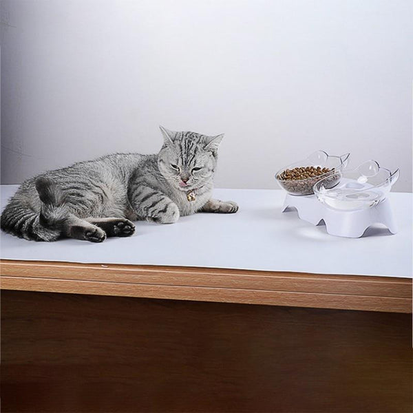 SantéChat® | Bol Incliné pour bien être animal | Chat - {{ CHAT & CIE }}