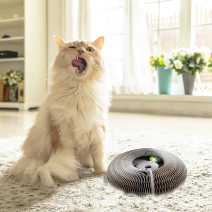[1 ACHETÉ = 1 OFFERT] SCRAPER™ | GRIFFOIR RÉVOLUTIONNAIRE ANTI-STRESS - {{ CHAT & CIE }}